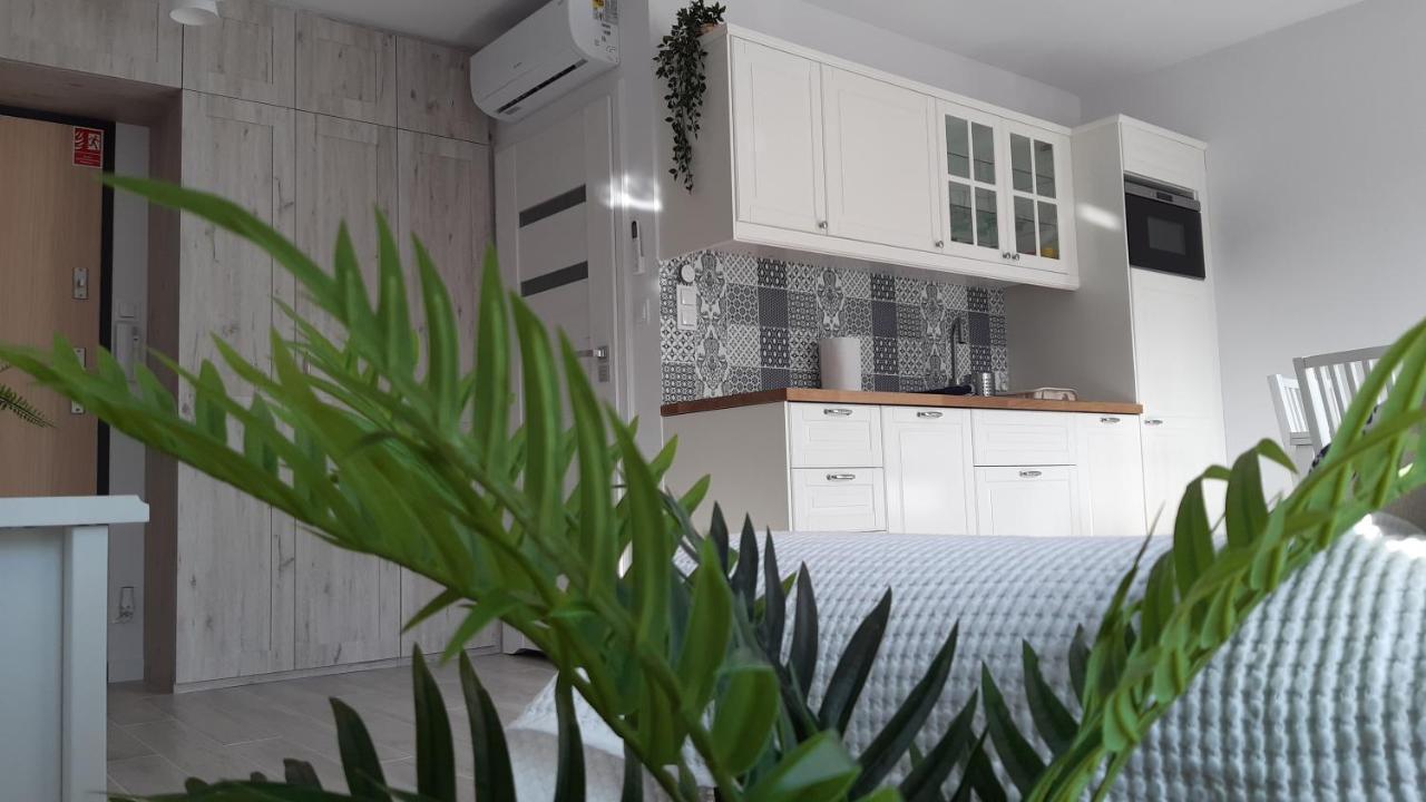 דירות סטגנה Apartament Biala Foczka מראה חיצוני תמונה